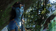 Neytirisorie