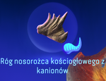 Róg nosorożca kościogłowego z kanionów