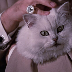 Blofeld Classic Film Continuity James Bond Wiki Fandom