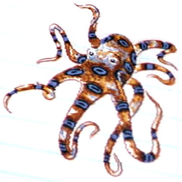 格安即決 Bond James | Cult Octopus Wiki Fandom | 邦楽