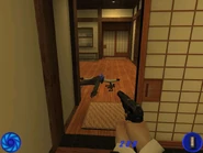 PC version
