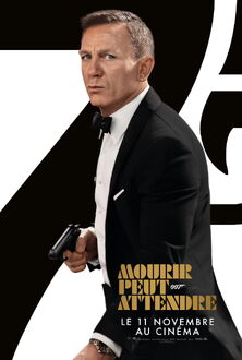 25. Mourir peut attendre.jpg