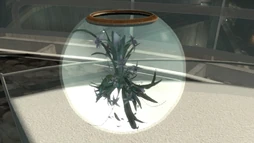 Orchid (007 Legends).png (1.09 MB) An Orchidae Nigra specimen collectible, as seen in the Moonraker level of 007 Legends.