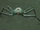 Q-Spider