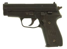 P229