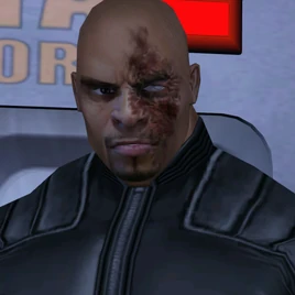 Rook (post-scarring) - Profile