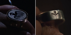 Comparison of Fiona Volpe's octopus insignia ring from Thunderball (1965), with Marco Sciarra's one from Spectre (2015).
