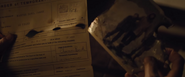 Temporary custody documents mentioning Charmian Bond, as seen in Spectre (2015).