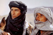 Living-daylights-dalton-dabo-desert