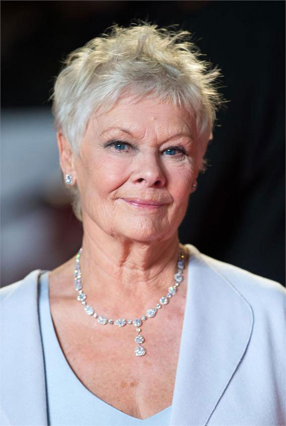 judi dench netflix movie        <h3 class=