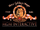 MGM Interactive