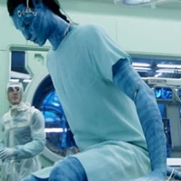 Avatar Species Avatar Wiki Fandom Ships are commonly designated with portmanteau couple names, usually. avatar species avatar wiki fandom