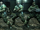 SecOps Infantry