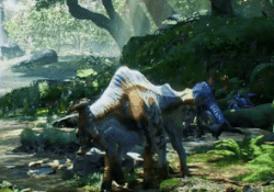 A young sturmbeest drinking