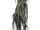 Spore Root