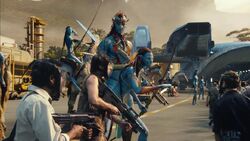  threatens administrator .