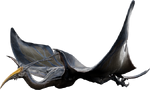 Pandora Vulture