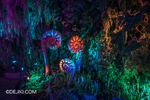 At Avatar: The Experience