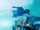 Jake underwater.jpg