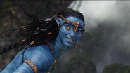 Neytiri 17 HD