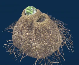 Lamp Lizard Eggs