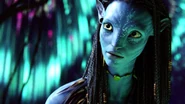 Neytiri Wallpaper-245070