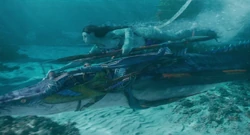 Ronal riding a skimwing underwater.