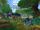 IMG 1666.jpeg