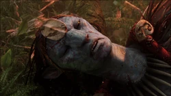 A dying Eytukan orders Neytiri to protect the clan instead of saving himself.