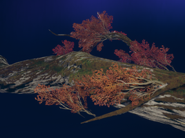 Blood Vine Branch