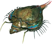 Cuirass Crab