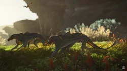 FOP unknown creatures2