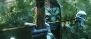 Neytiri Arrow