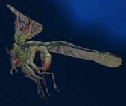 In the Hunter's Guide