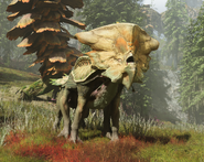 A young bone helm rhino in the middle of a threat display.