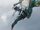 Neytiri attacks the Seawasp2.jpg