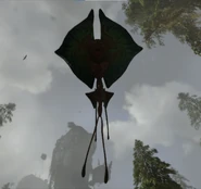 A kite manta from below