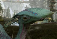 A close-up of a young meer deer's head.