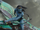 Neteyam flying.png