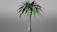 Pandora ROVR Beanstalk Palm