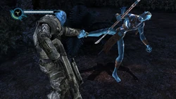 Rai'uk fighting Conrad's avatar.