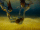 Letting go of Neteyam.gif