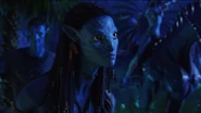 Neytiri 24 HD