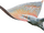 Pincer Fish