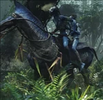 Akwey during the great battle.