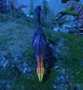 A mature meer deer at night from behind, showing off the bioluminescent pattern on its tail.