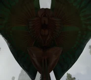 A close-up of a kite manta from below