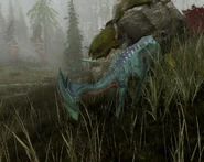 A young meer deer digging in the ground for food.