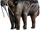Tapirus