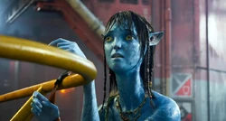 345386436 556547216624220 4554542057783170822 n